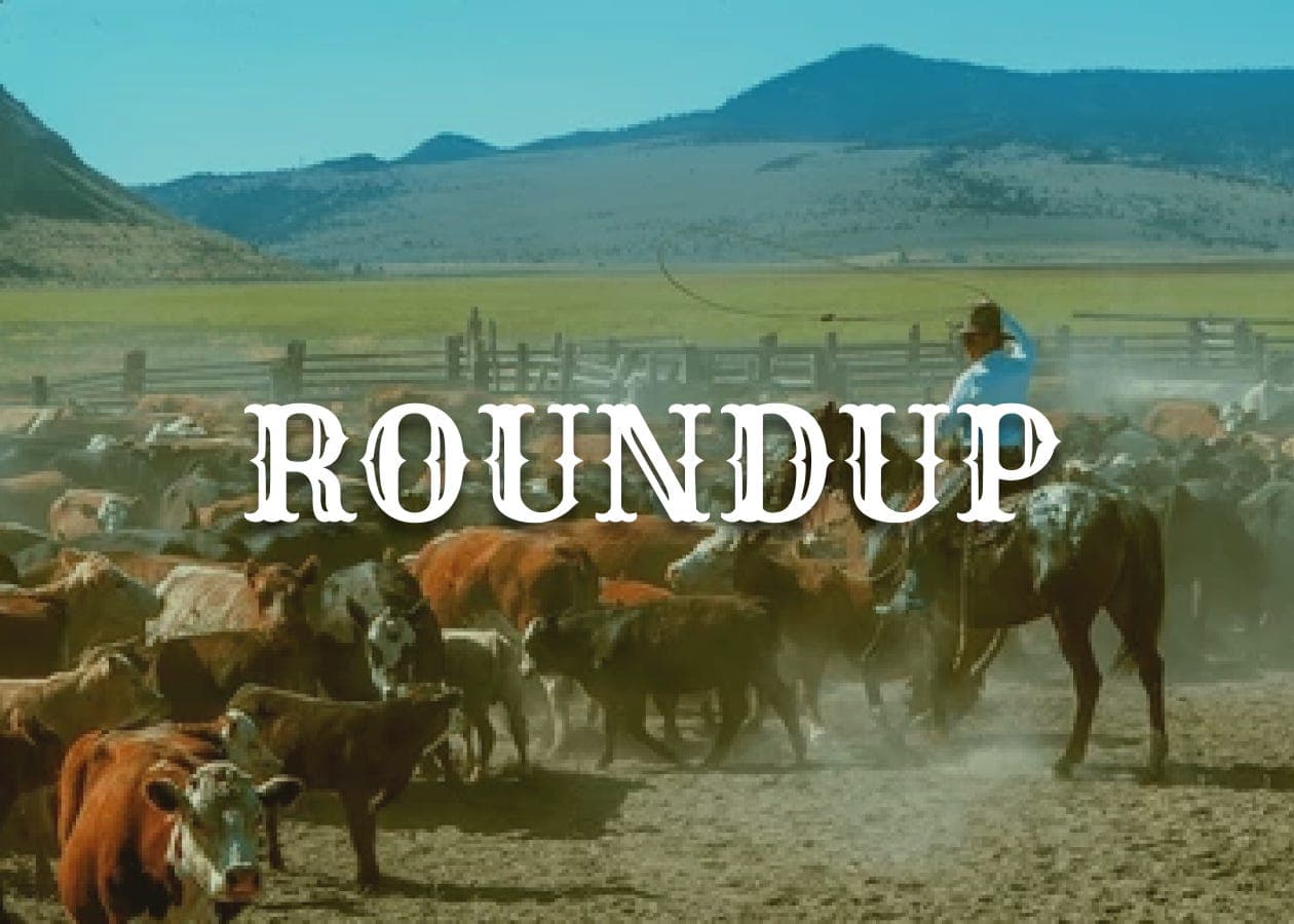 Cover for July 29- August 3, 2024 Weekly Roundup